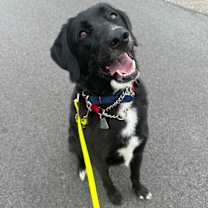 Thumbnail photo of Jake #2