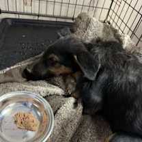 Thumbnail photo of Bubbles #2