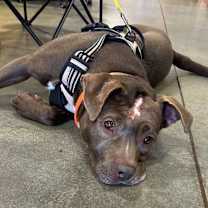 Thumbnail photo of Mazy #1