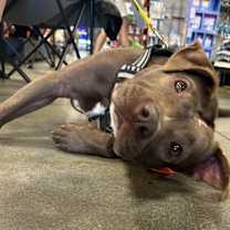 Thumbnail photo of Mazy #2