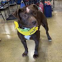 Thumbnail photo of Mazy #4