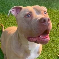 Thumbnail photo of Seven #1