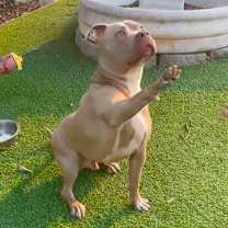 Thumbnail photo of Seven #2