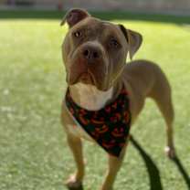 Thumbnail photo of Seven #3