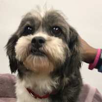 Thumbnail photo of Grace #1