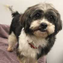 Thumbnail photo of Grace #2