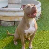 Thumbnail photo of Seven #4