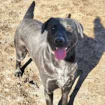 Thumbnail photo of Salem #3