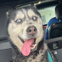 Thumbnail photo of Zeus #3