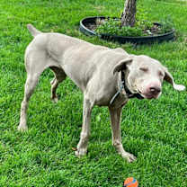 Thumbnail photo of Storm #4