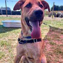 Thumbnail photo of Flynn #3