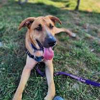 Thumbnail photo of Flynn #4