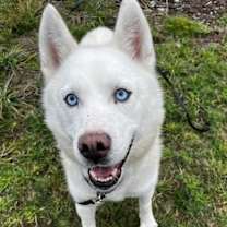 Thumbnail photo of Jamie #1