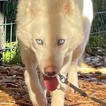 Thumbnail photo of Jamie #2