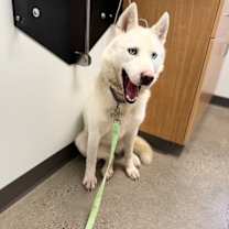 Thumbnail photo of Jamie #3