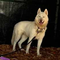 Thumbnail photo of Jamie #4