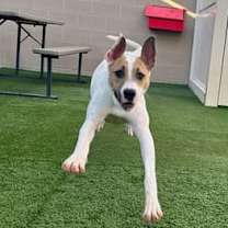 Thumbnail photo of Moxie #3