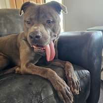 Thumbnail photo of Luna #2