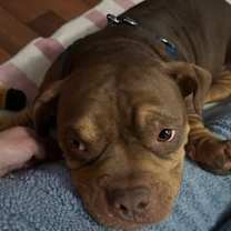 Thumbnail photo of Frosty #3