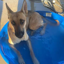 Thumbnail photo of Ember #2