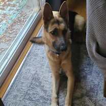 Thumbnail photo of Max #2