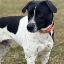 Thumbnail photo of Rick #4