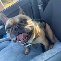 Thumbnail photo of Buddy #3