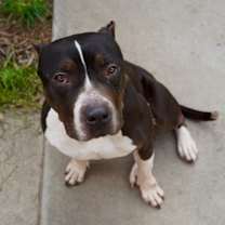 Thumbnail photo of Athena (URGENT) #4