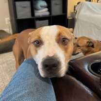 Thumbnail photo of Wrigley #3