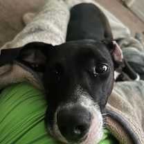 Thumbnail photo of Raindrop #1