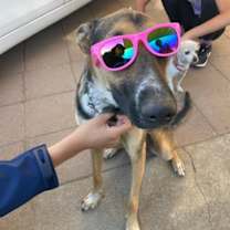 Thumbnail photo of Bolt #3