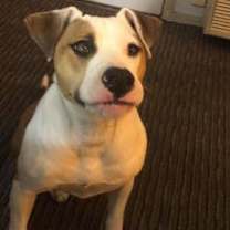 Thumbnail photo of Jackson #1