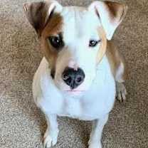 Thumbnail photo of Jackson #2