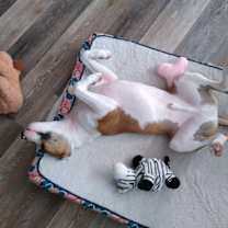 Thumbnail photo of Jackson #4