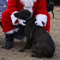 Thumbnail photo of Kentucky #1