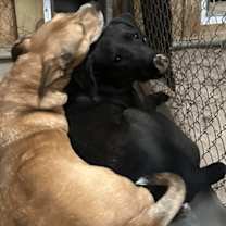 Thumbnail photo of Kentucky #2