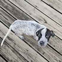 Thumbnail photo of Thelma #2