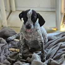 Thumbnail photo of Thelma #3