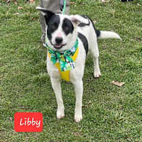 Thumbnail photo of Libby #1