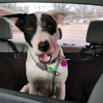 Thumbnail photo of Libby #3