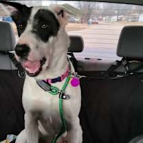 Thumbnail photo of Libby #4