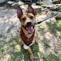 Thumbnail photo of Axel #1