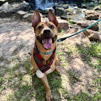 Thumbnail photo of Axel #2