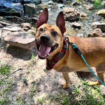 Thumbnail photo of Axel #3