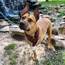 Thumbnail photo of Axel #4