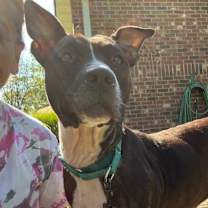 Thumbnail photo of Mila #4