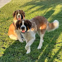 Thumbnail photo of Lily & Maggie #1