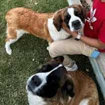 Thumbnail photo of Lily & Maggie #2