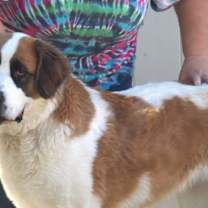 Thumbnail photo of Nora #2