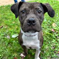 Thumbnail photo of Thea #2